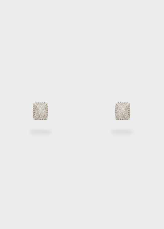 Orechini lobo con pietre clear argento